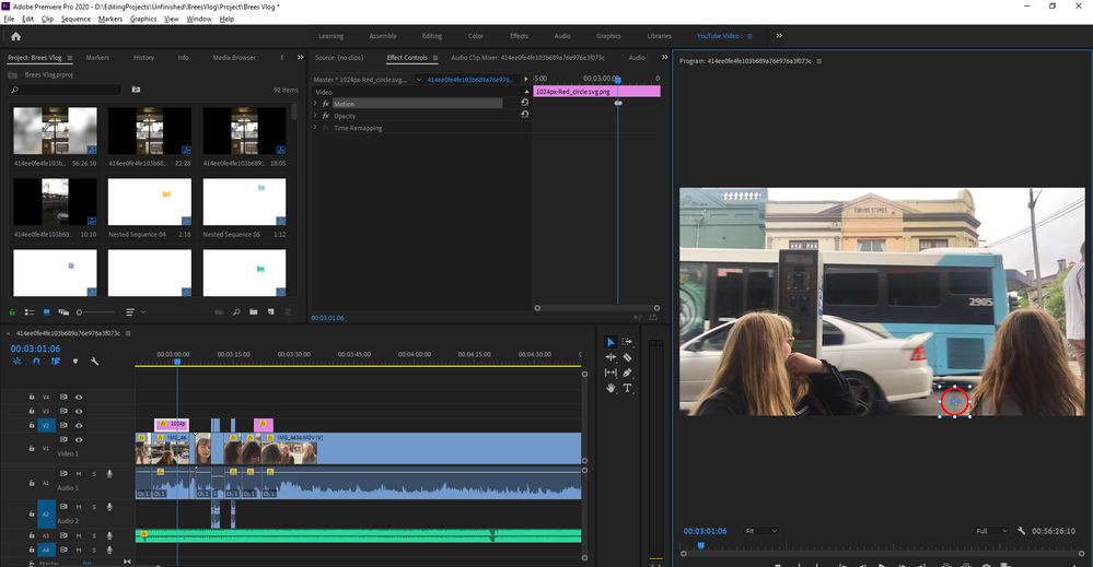 Adobe Premiere Pro 2020 - D__EditingProjects_Unfinished_BreesVlog_Project_Brees Vlog _ 8_01_2020 8_14_56 AM.png