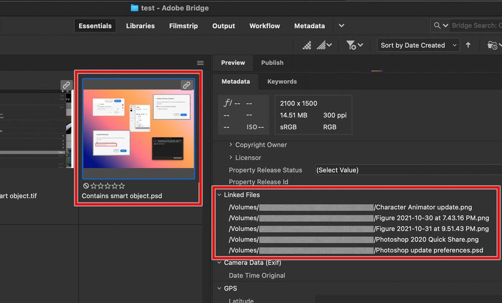 Photoshop-linked-files-listed-in-Bridge.jpg