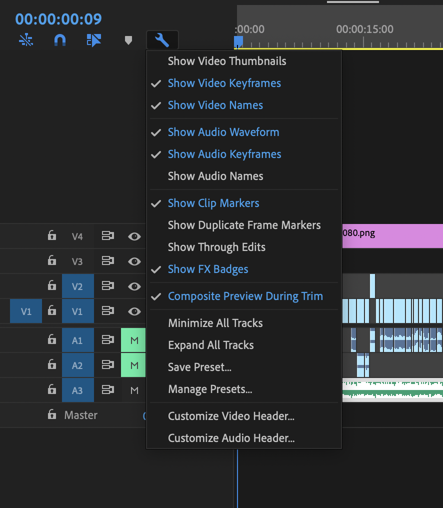 Solved: Enabling Closed Captions 2020 - Adobe Community - 10840188