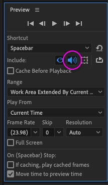 Include Audio enabled in the After Effects Preview panel.