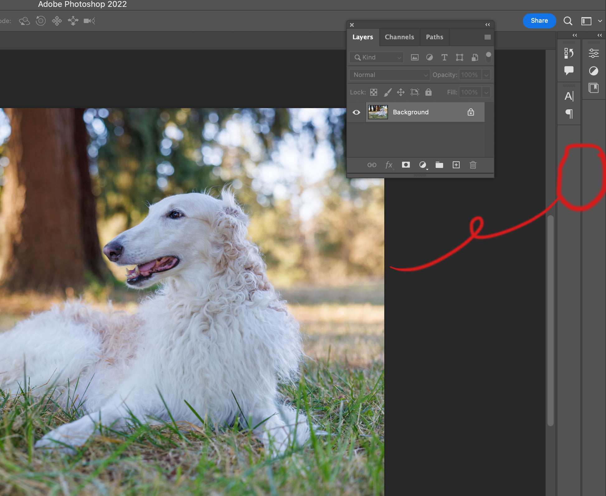 Solved: How do I delete vertical bars of functions off to ... - Adobe ...