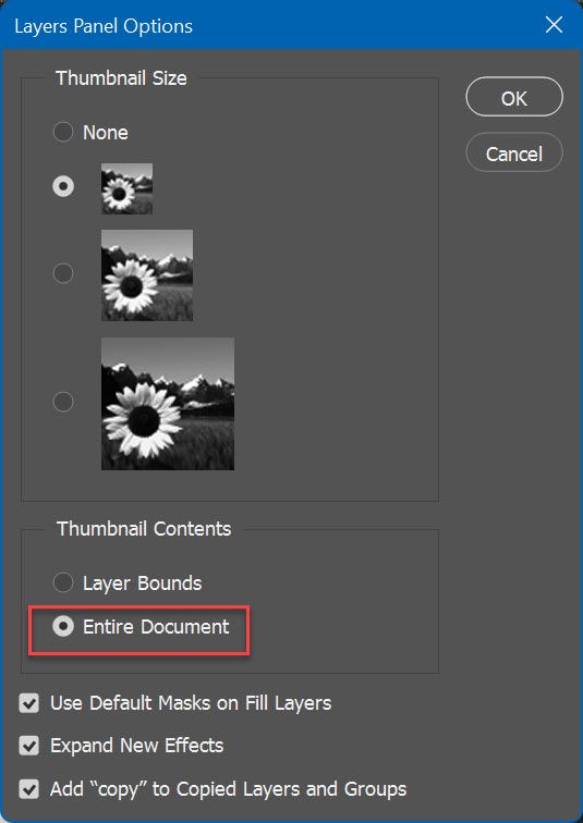 layer panel options.jpg