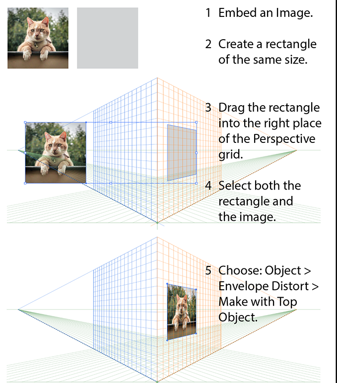 Image in perspective.png