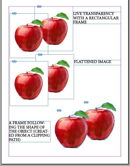 example transparency clipping path indesign.jpg