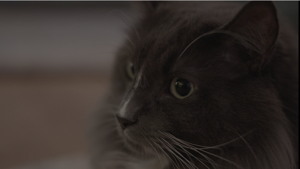 Screenshot 2022-09-30 213419 VLC.png