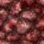 netherrack.png