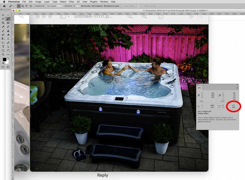 Screenshot 2022-10-11 at 17.49.22.png