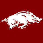 UAMS Razorback