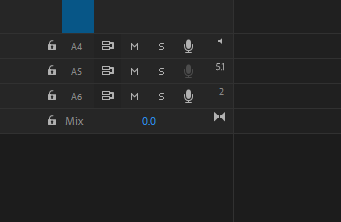 audio track types.png