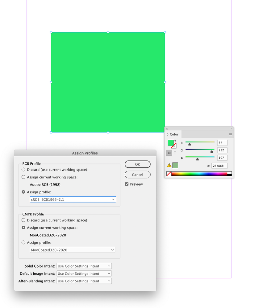 Screen Shot 22.png