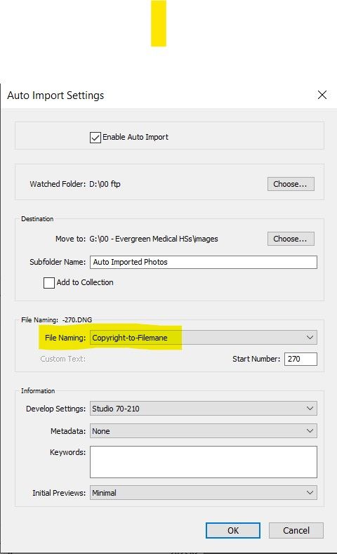 4. Use Preset during import.jpg