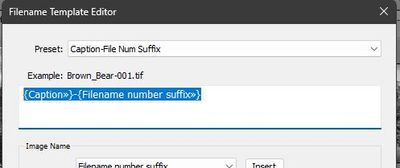 2022-11-03 06_26_45-Filename Template Editor.jpg