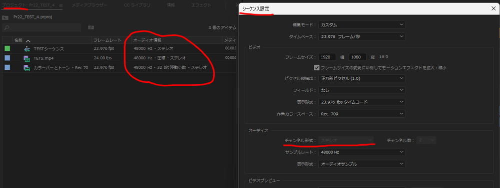 ※プロジェクト設定のオーディオ情報など（メタデータ）は、環境により表示順が異なったり非表示になっている場合があります。