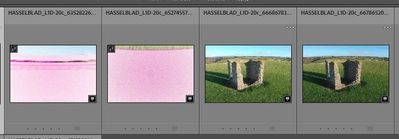 2022-11-06 10_29_00-Lightroom Catalog-v12 - Adobe Photoshop Lightroom Classic - Library.jpg