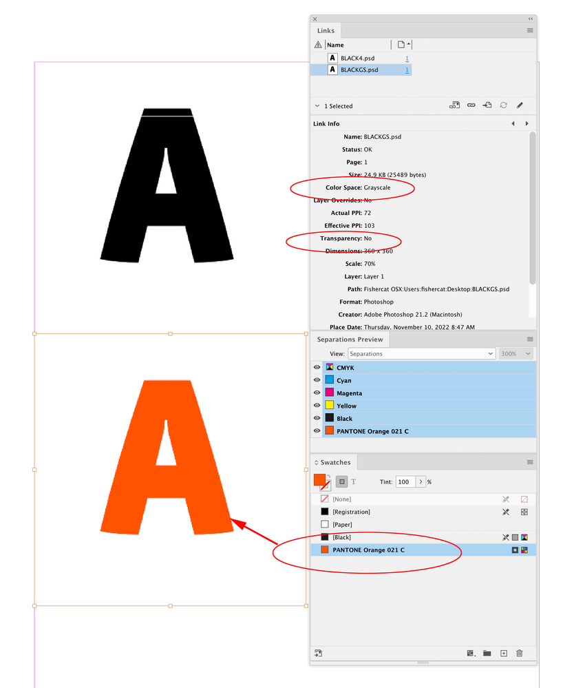 Screen Shot 9.png