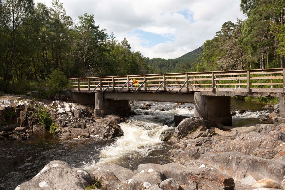 SFTW175BuildingBridges-PoohSticks.jpg