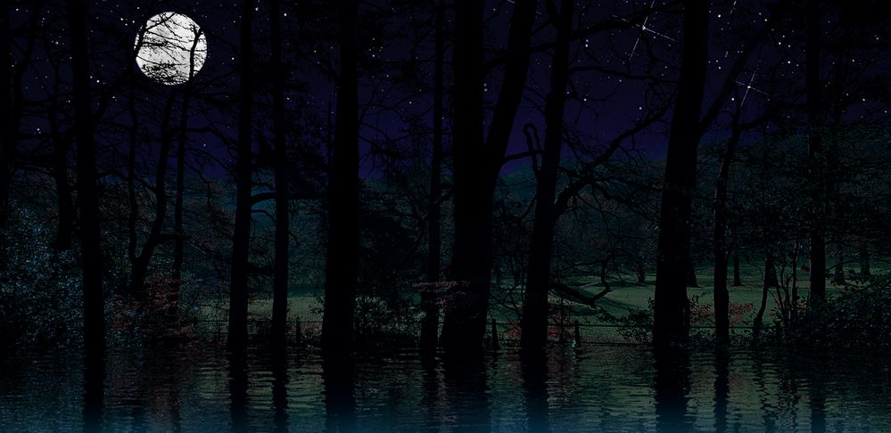 lickeys-night.jpg