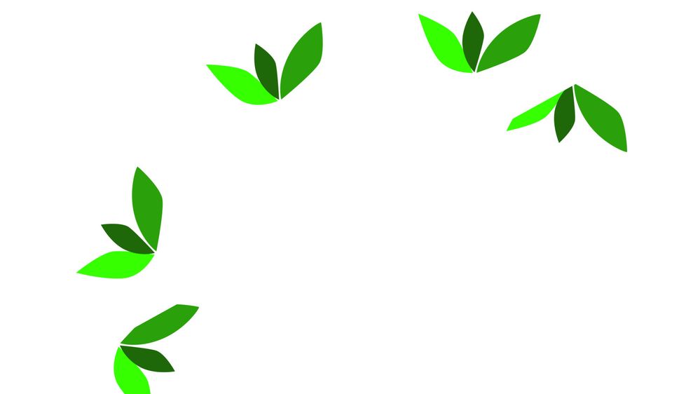 deco context fill.jpg