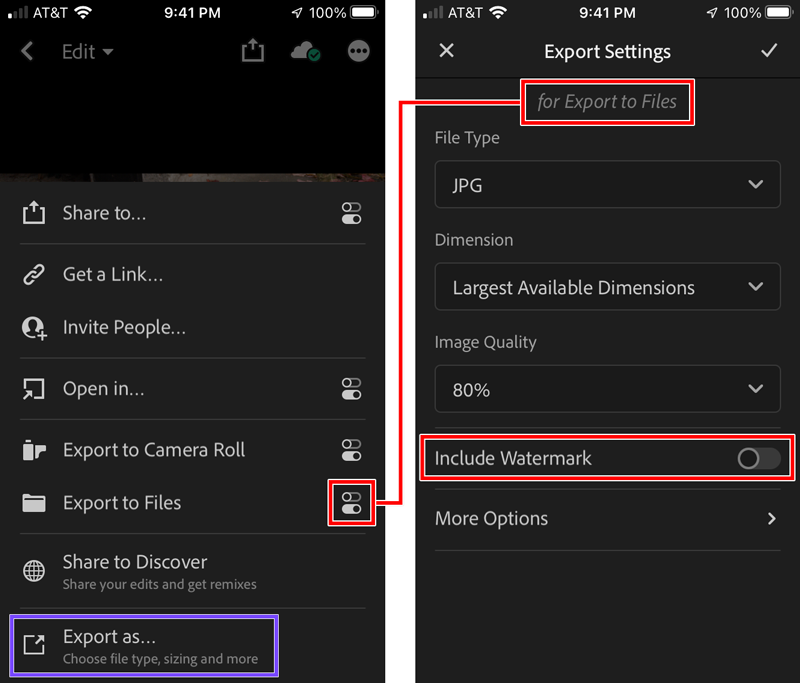 Lightroom-iOS-8.0.1-Export-As.png