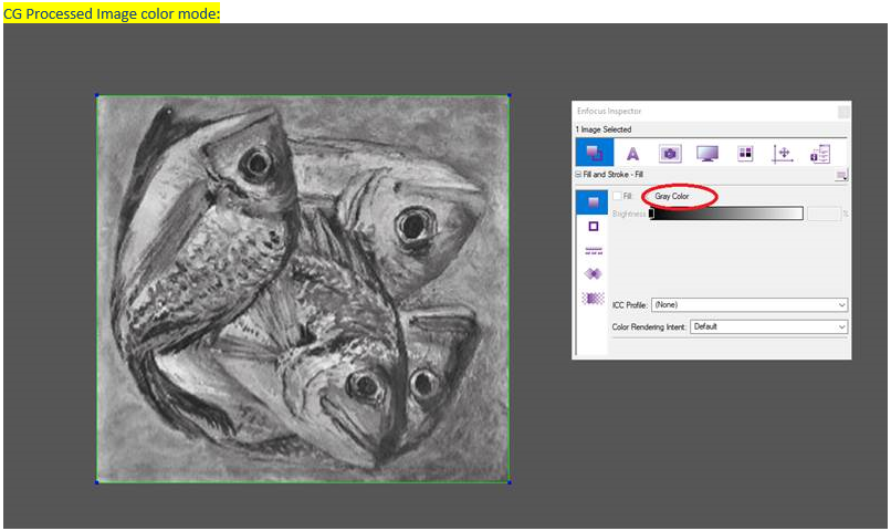 Graphics team processed image