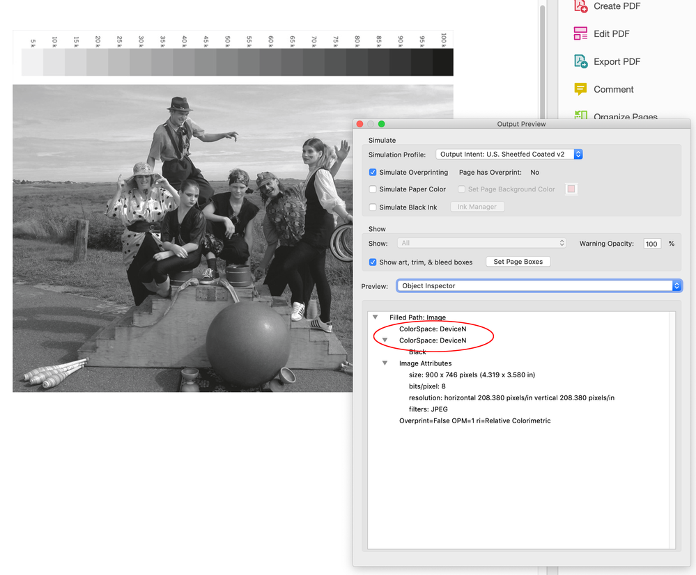 Screen Shot 16.png