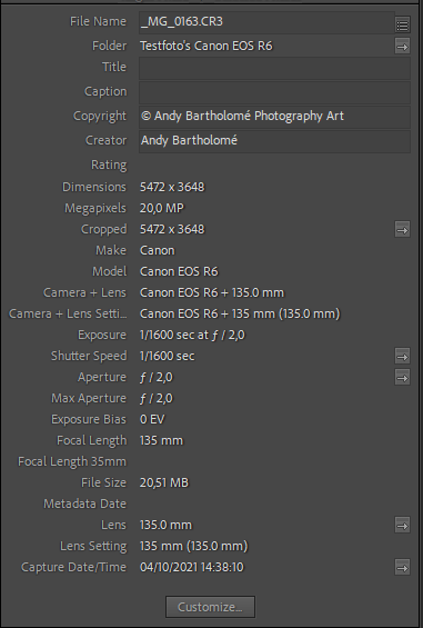 R6_Zeiss-135-apo-sonnar-OK.PNG