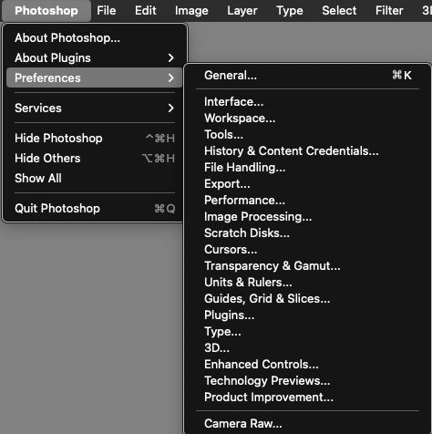 Preferences not Settings
