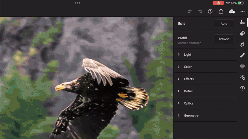 Lightroom iPad Share Export to Files DNG v00.gif