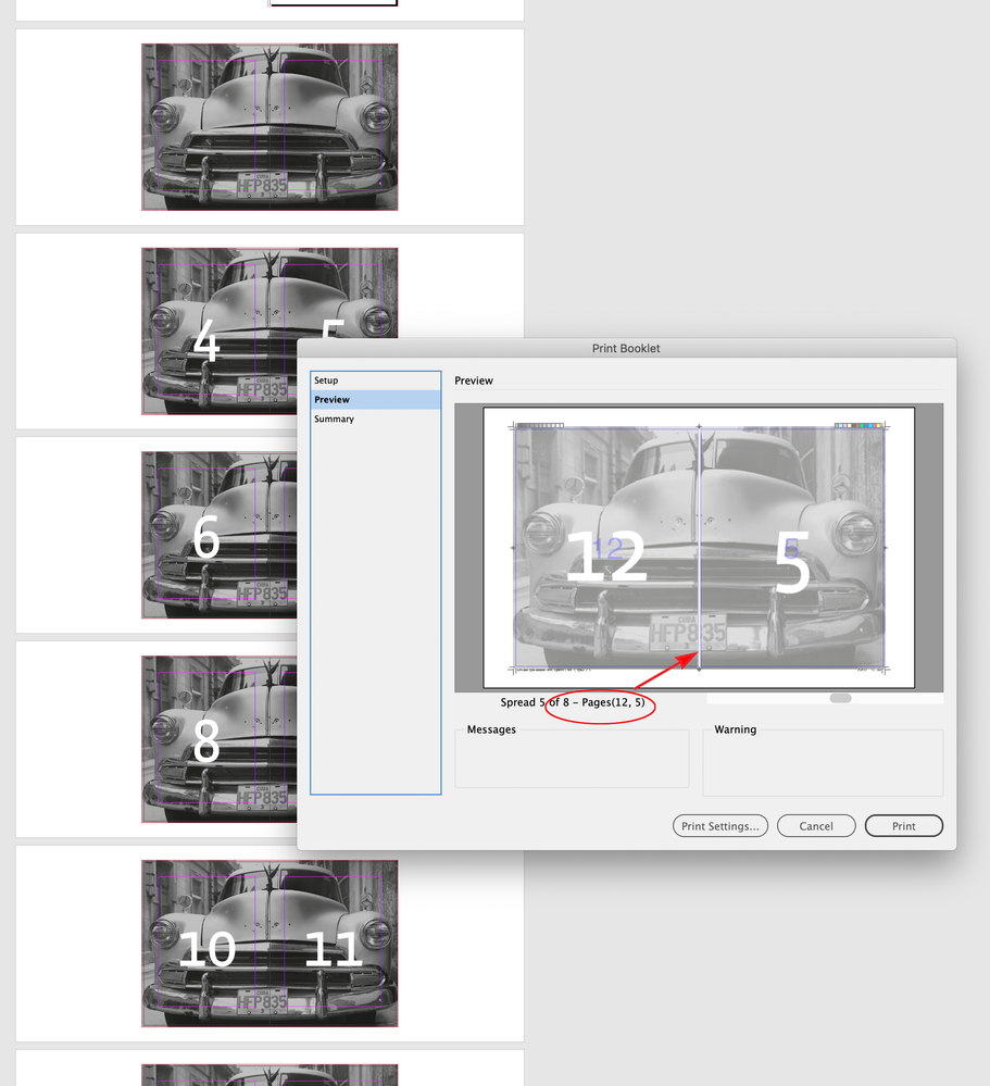 Screen Shot 22.png