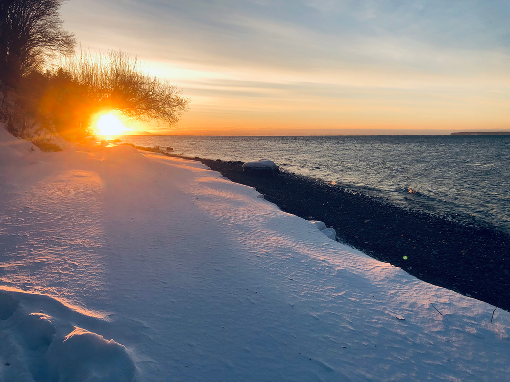 my yesterday morning backyard