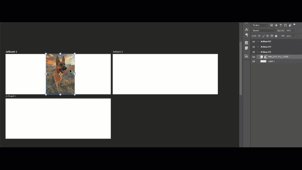 move image between artboards.gif