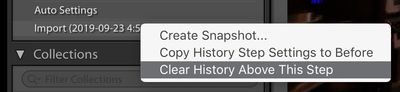 Lightroom-Classic-Clear-History-Above-This-Step.jpg