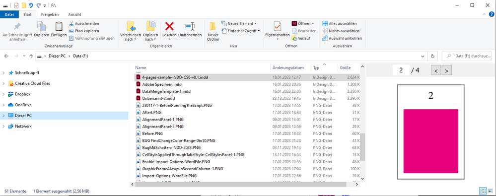 Preview-INDD-Pages-Windows-Explorer.PNG