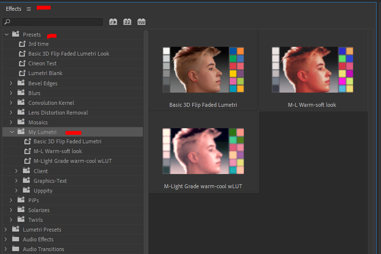 LUTs presets.PNG
