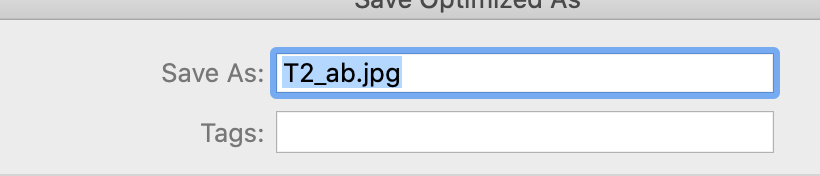 Screen Shot 2020-01-24 at 2.55.56 PM.png