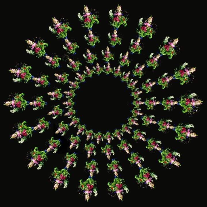 474flower arrangement.jpg