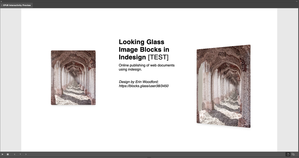 Looking Glass_preview before online publishing.png