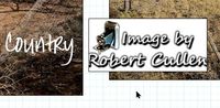 2023-02-02 05_56_56-Roberts Catalog-v12 - Adobe Photoshop Lightroom Classic - Print.jpg