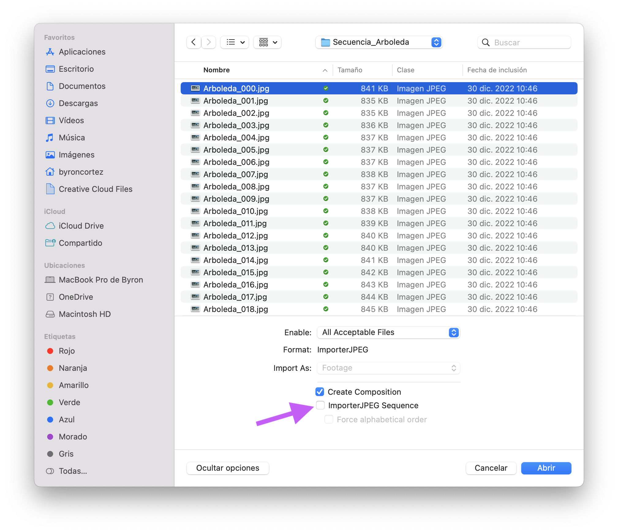 solved-replace-footage-and-import-imports-multiple-files-adobe