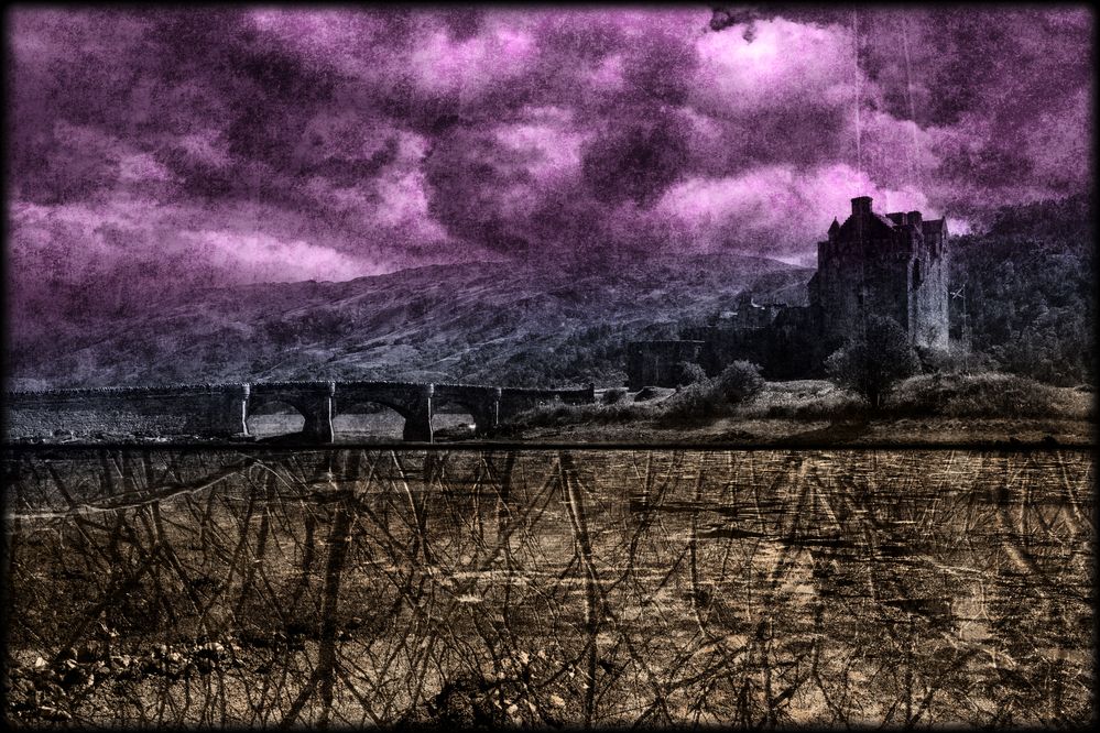 "Don't Let Him See You"