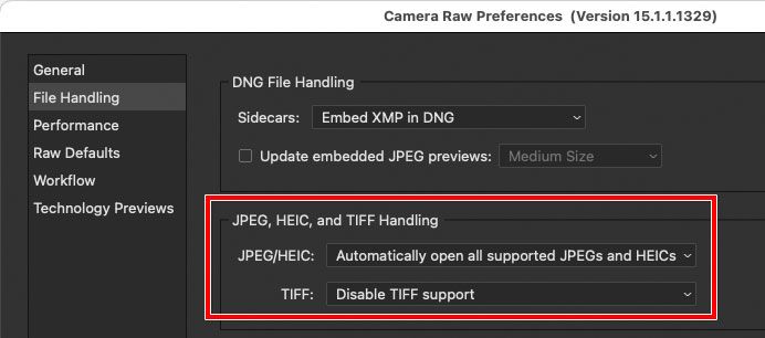 Camera-Raw-preferences-File-Handling-JPEG-enabled.jpg