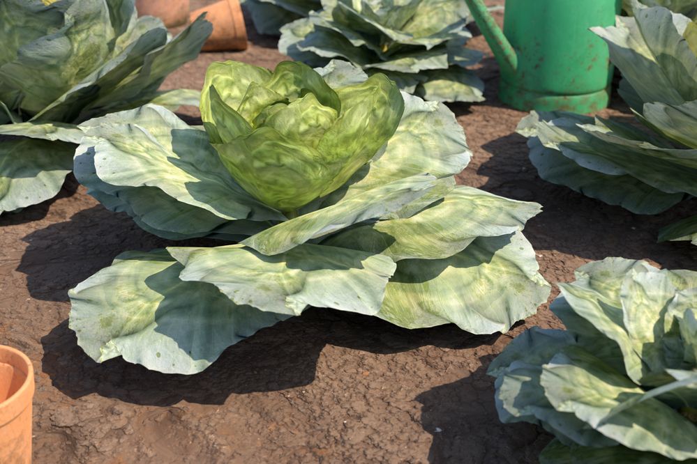 SFTW182Cabbages.jpg