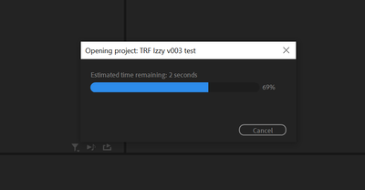 Premiere Error 2.PNG