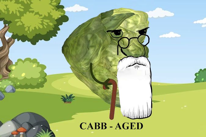 cabb-aged.jpg