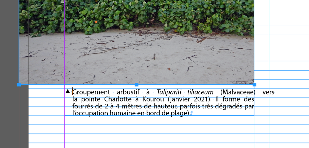 Capture d’écran 2023-02-27 à 11.09.26.png