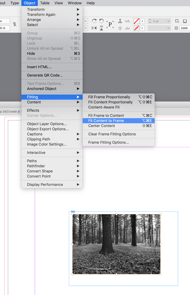Screen Shot 2.png