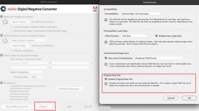 embed-original-raw-in-dng.jpg