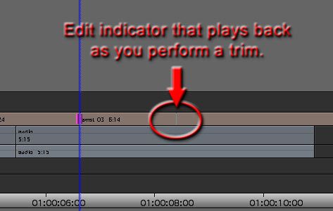 Avid_trim_indicator.jpg