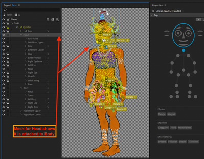 Head Mesh shows attached to Body.png