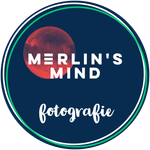 Merlins mind
